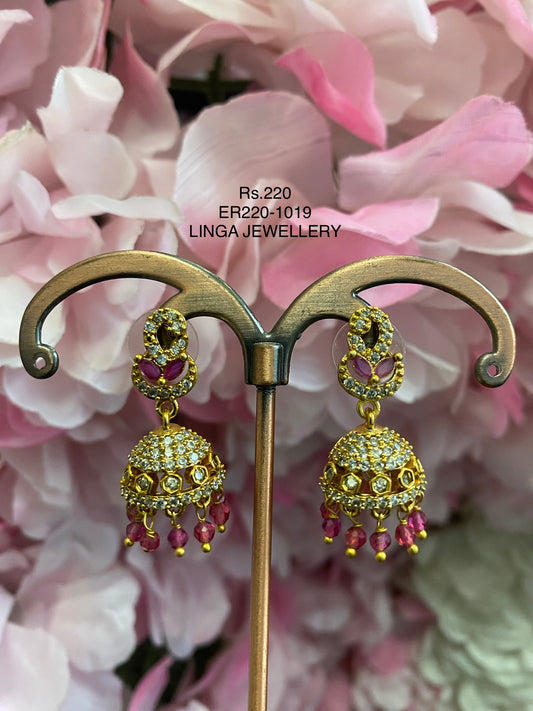 ER220-1019
