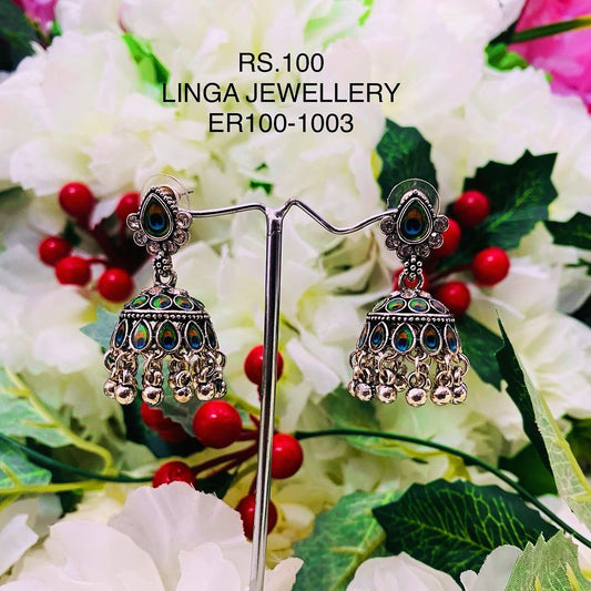 ER100-1003