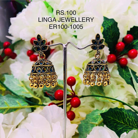 ER100-1005