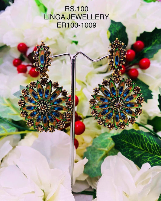 ER100-1009