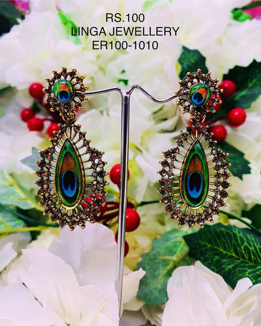 ER100-1010