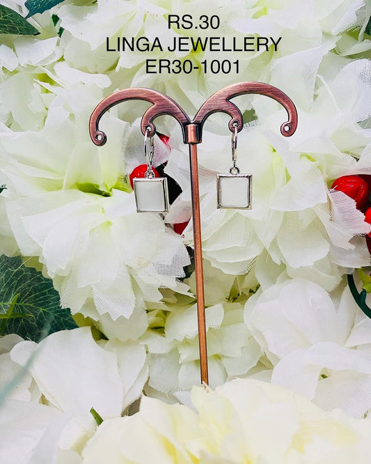 ER30-1001