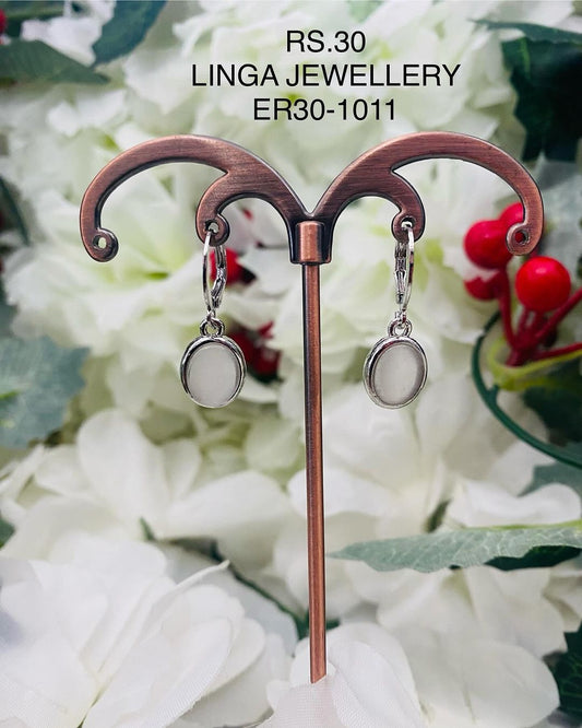 ER30-1011