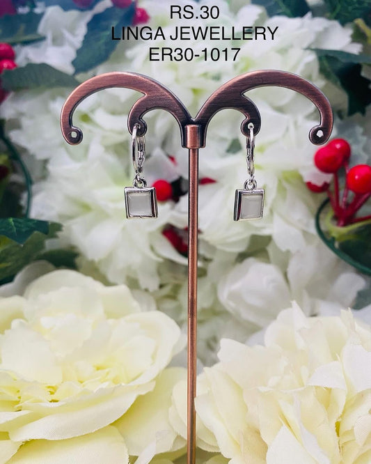 ER30-1017