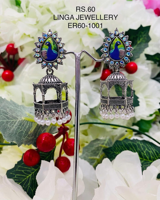ER60-1001
