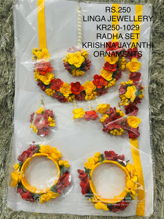 KR250-1029